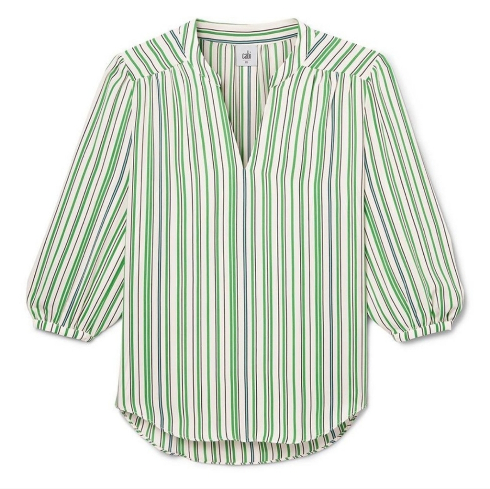 CABi #5893 S Awning Stripe Blouse Green White Size Small Career Top V Neck
